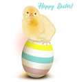 easter greeting card with chicken sitting on egg vector image vector image