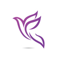 beauty dove vector image