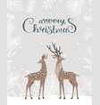 deer christmas card vector image vector image