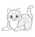 little maine coon cat cartoon animal bw vector image vector image