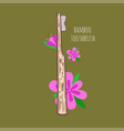 bamboo eco-friendly teethbrush hand drawn vector image