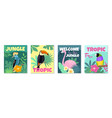 tropical birds posters bright colors mini banners vector image vector image