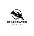 black raven crow logo icon vector image vector image