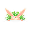 cartoon rabbit vector image