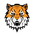 tiger logo team symbol sport mascot icon isolated vector image