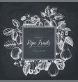 vintage fruits card design on chalkboard vector image