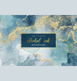 abstract alcohol ink background design vector image