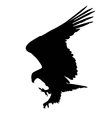 eagle hunting vector image vector image