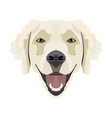 golden retriever vector image vector image