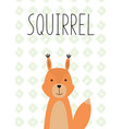 cute little squirrel hand drawn vector image vector image
