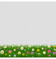 grass and flowers border transparent background vector image vector image