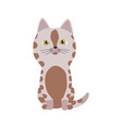 cute cartoon kittie or cat with colored fur vector image vector image