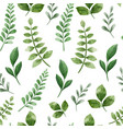green herbs cute floral seamless pattern vector image vector image