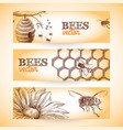bee banner sketch vector image