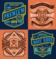 vintage surfing t-shirt graphic set vector image vector image