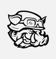 wild hog head mascot vector image vector image