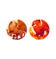 fantasy creatures phoenix and hippogriff vector image