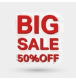 big sale icon vector image