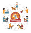 qualified grooming service background vector image
