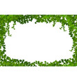 ivy lianas frame border with climbing vine vector image