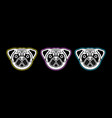 retro cute dog sad pug head vector image vector image