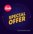 sale banner template special offer this weekend vector image vector image
