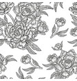 vintage peony flowers buds and leaves seamless vector image