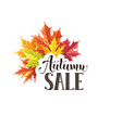 autumn sale banner vector image vector image