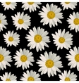 seamless pattern with daisy flowers vector image