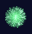 firework isolated beautiful green vector image