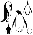 penguin vector image