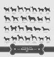 dog set - small breeds collection vector image