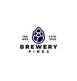 pinecone pine brewery logo concept vector image