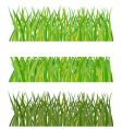 set of grass vector image