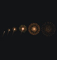 pyrotechnics and fireworks set vector image vector image
