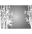 bamboo background vector image