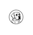 logo of a dog head labrador on white vector image