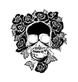 black skull vector image