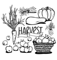 vegetables and fruits vector image
