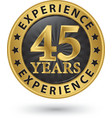 45 years experience gold label vector image