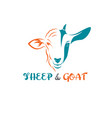 sheep face and goat on a white background vector image vector image