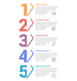 five steps - infographic template vector image