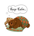 calm bear animal set vector image
