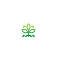 seed green leaf plant ecology logo vector image