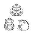 angry boars with fangs isolated on white vector image