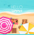 people relaxing by the ocean with hello summer vector image