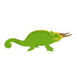 trioceros jacksonii - jacksons chameleon - male vector image vector image