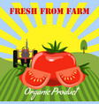 tomato mockup in farm landscape background label vector image