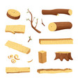 planks from trees and different wood elements vector image
