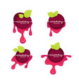 cherry season collection labels logo vector image